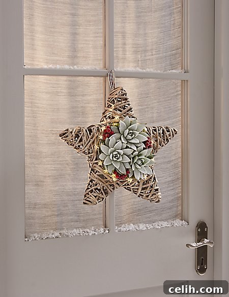 Deck the Halls with Amazing Christmas Wreath Hanging Ideas 7 Unique sparkling wicker star Christmas wreath decorated with three living succulent plants, offering an unusual and eco-friendly holiday display. Succulents can be removed and repotted after the season. From M&S.