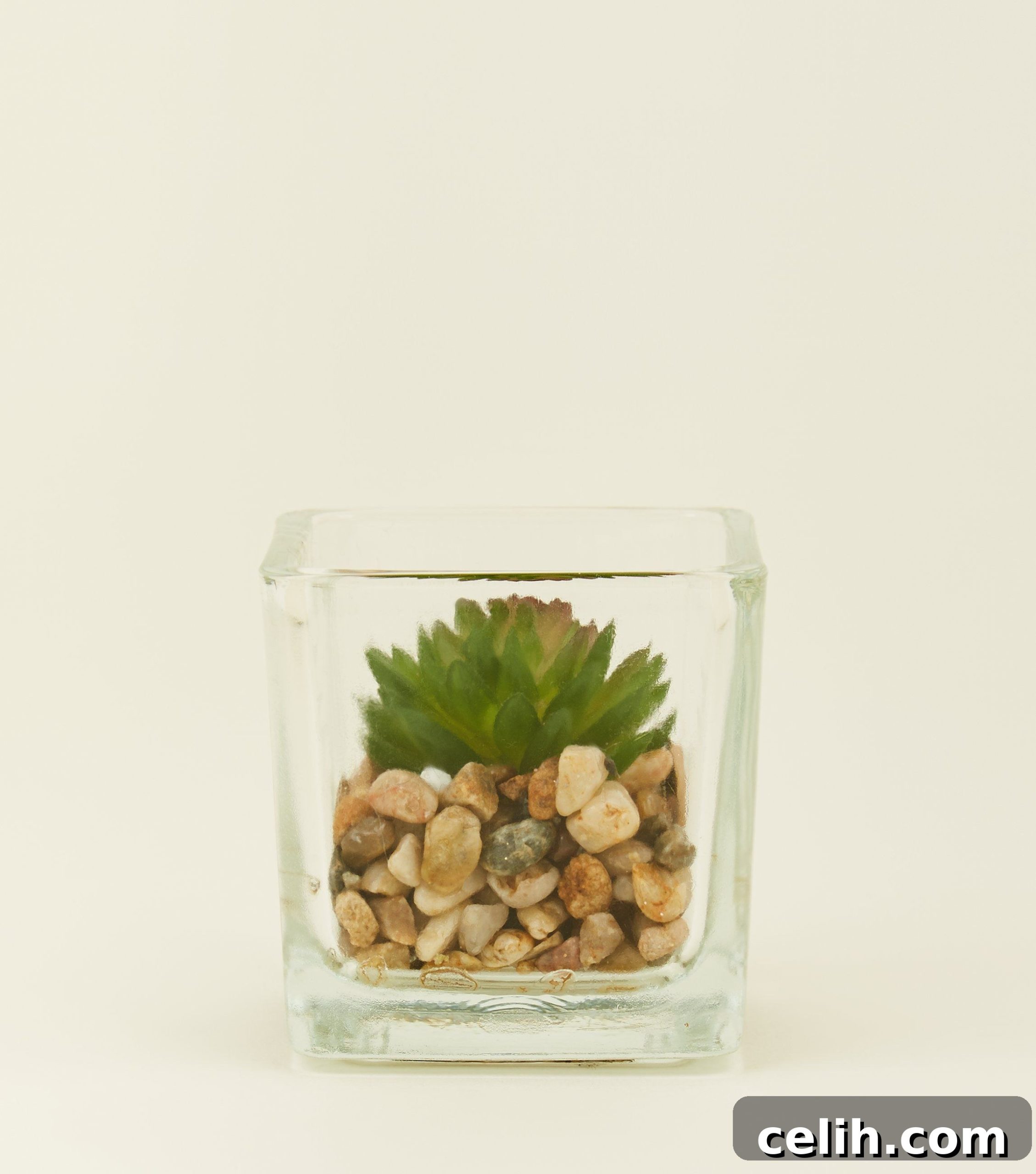 A great piece of affordable homeware from New Look - and an easy way to add plants into your home, whether you're green fingered or not!