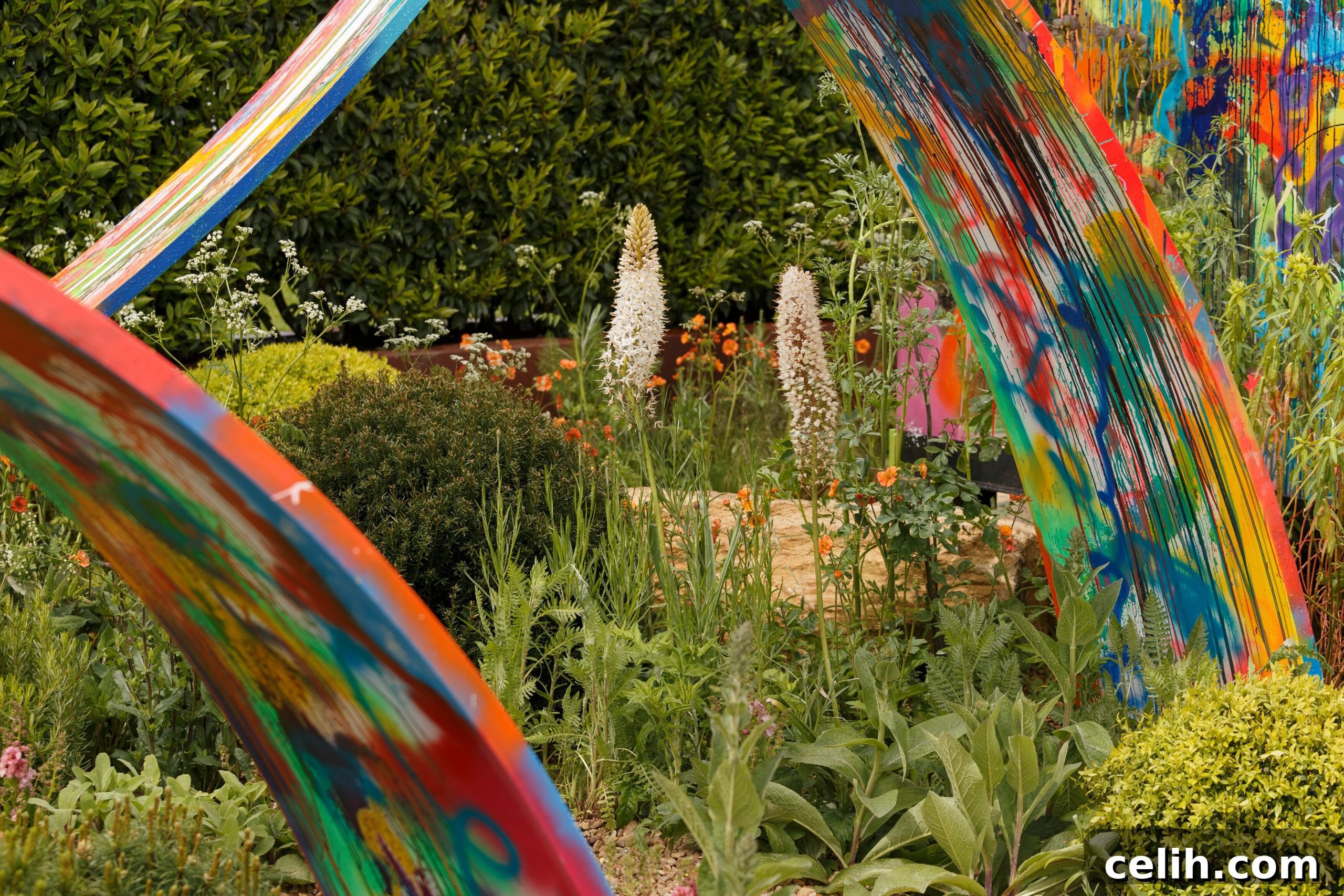 What if show garden in support of Rees Foundation. Designed by Sebastian Conrad and Kate Rees. RHS Malvern Spring Festival 2019.