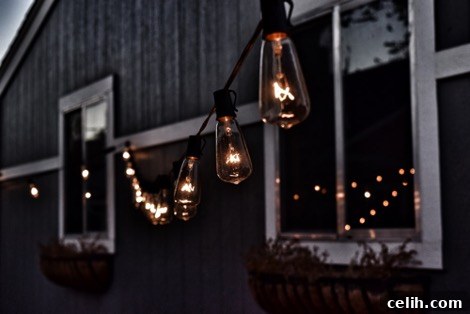 Hang rope lights in your garden for interest 