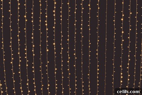 Liven up your garden with a canopy of lights