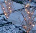 Next Crystal Trailblazer Lights