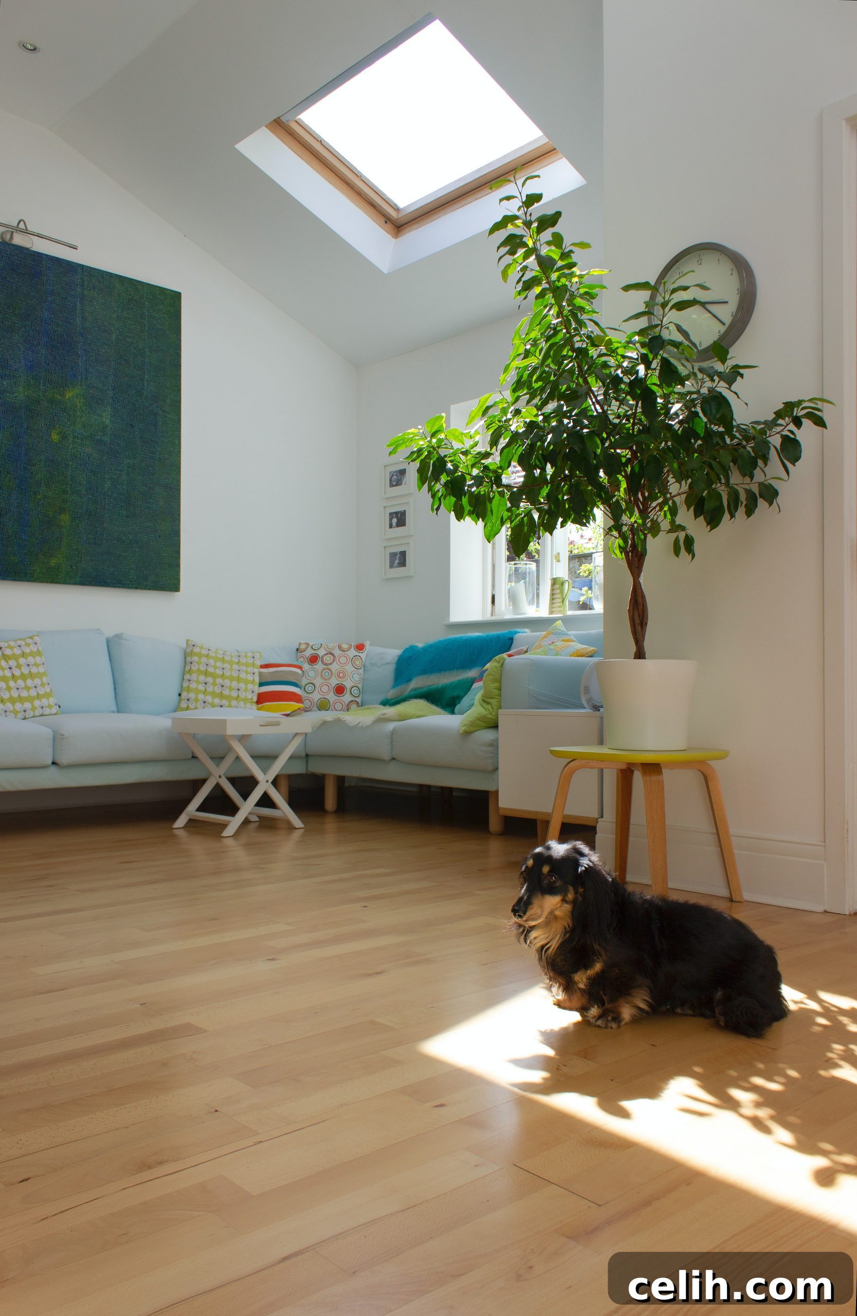 Engineered Wood Floors: Style Durability and Value 4 Natural looking engineered wood floor is perfect for pets and family living, offering durability at a friendly price point.