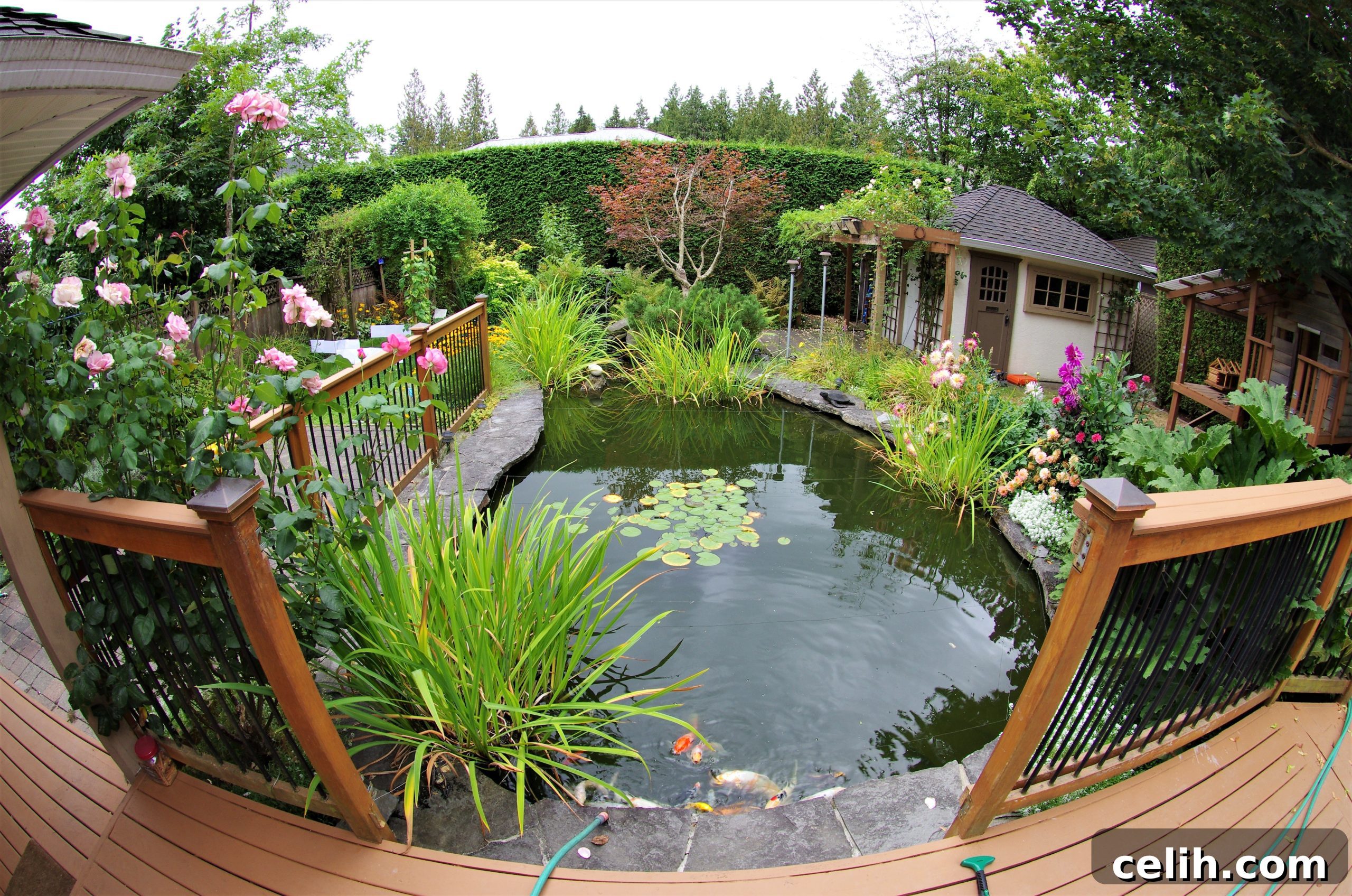 Pond Edging Ideas: Rustic Charm to Polished Perfection 4 Stone paving slabs make an ideal garden pond edging idea
