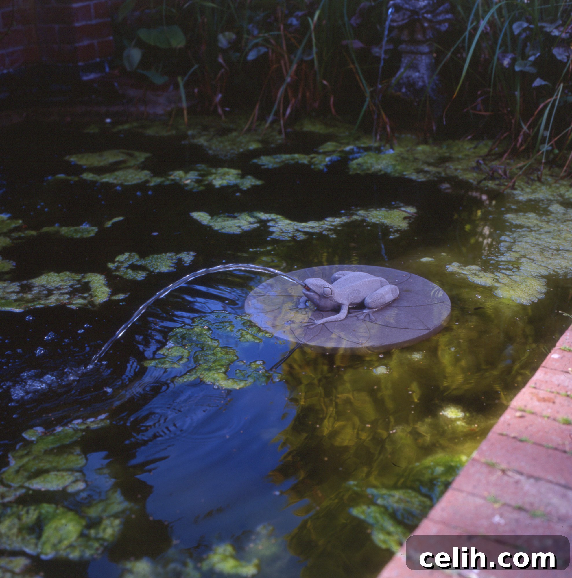 Pond Edging Ideas: Rustic Charm to Polished Perfection 5 Brick garden pond edging idea