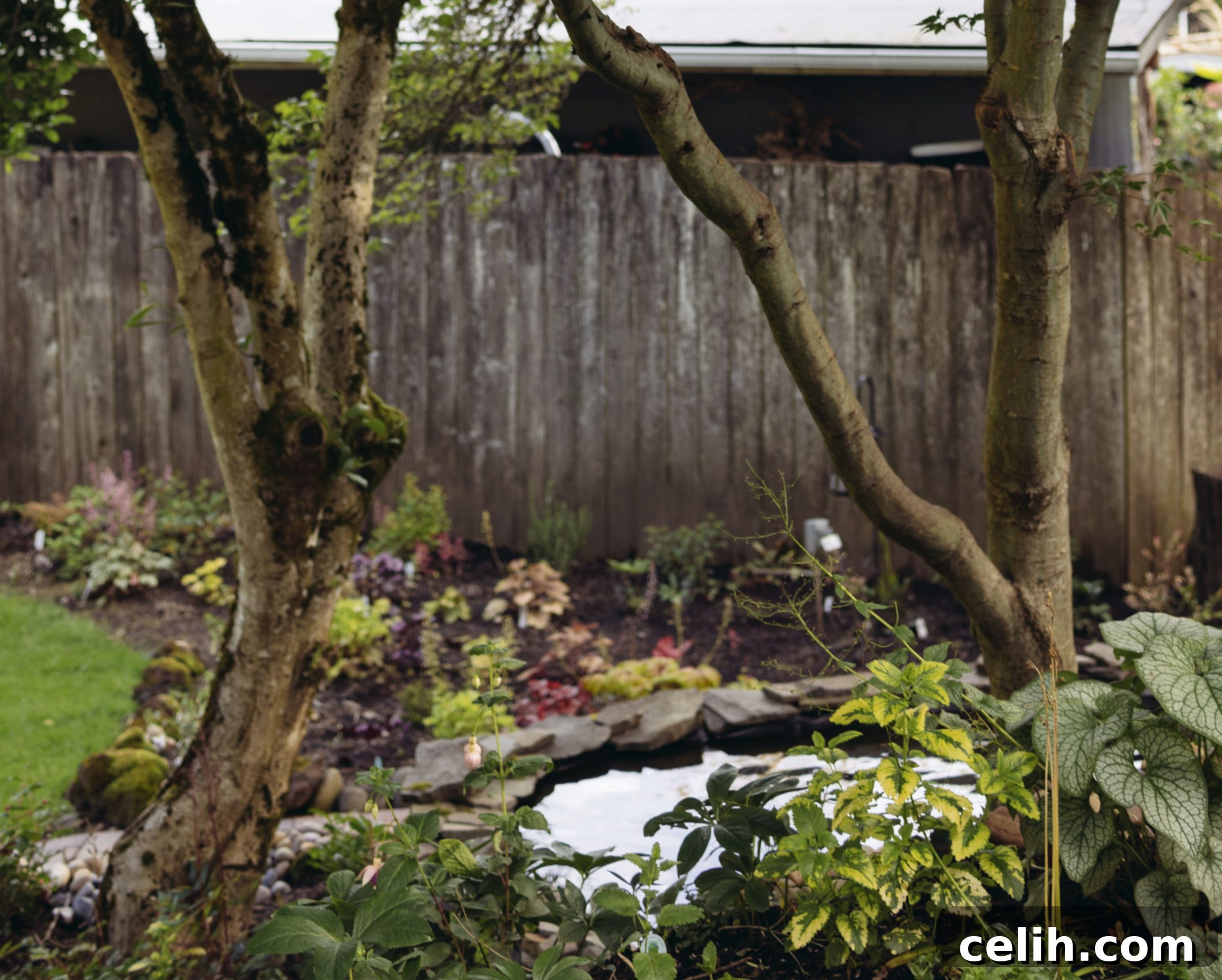 Pond Edging Ideas: Rustic Charm to Polished Perfection 7 Plants help finish off the edge of a garden pond
