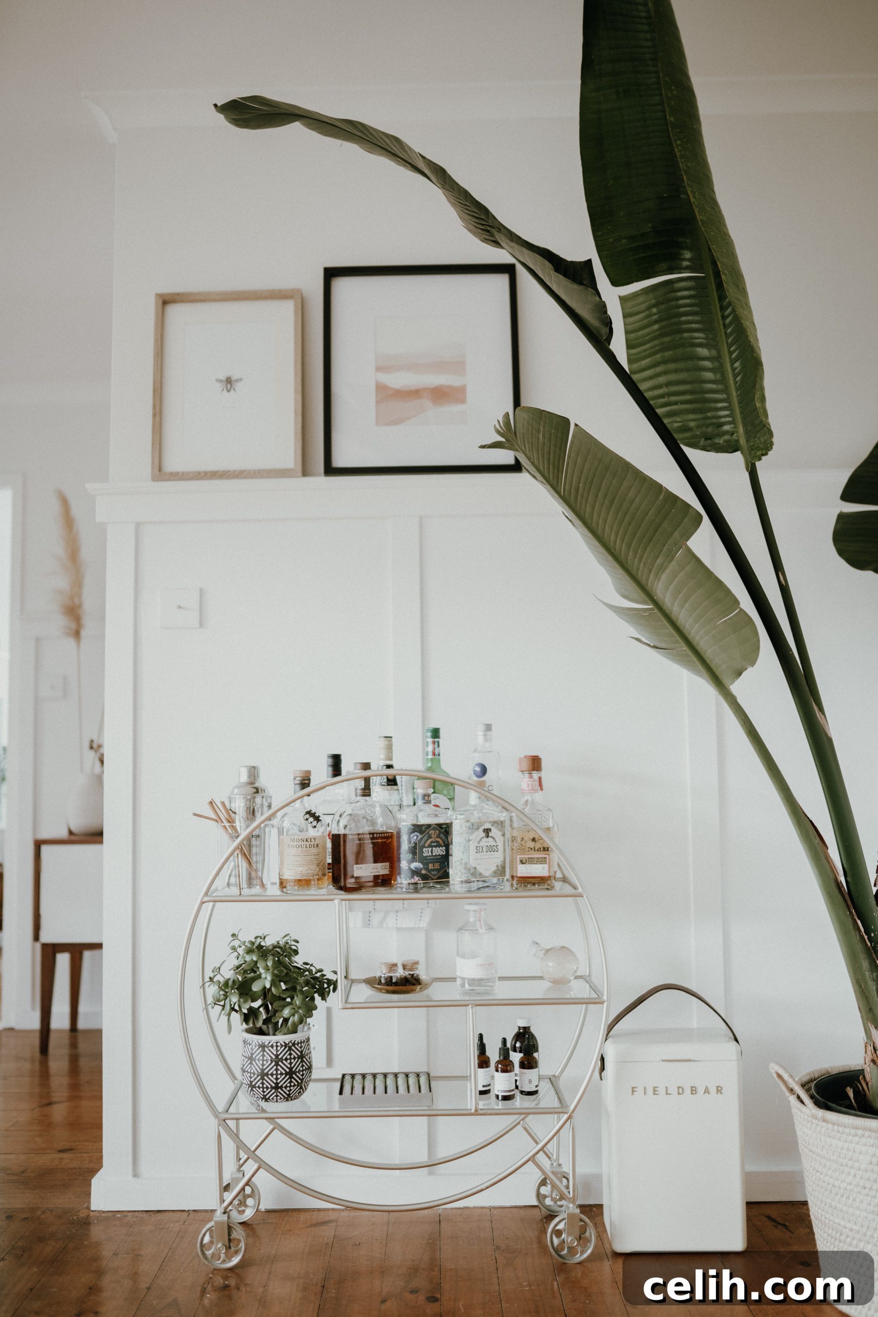 Entertain Like a Pro 5 Kitchen Hacks for Your Next Party 3 Well stocked home bar cart, demonstrating organized separation of beverages for a party kitchen
