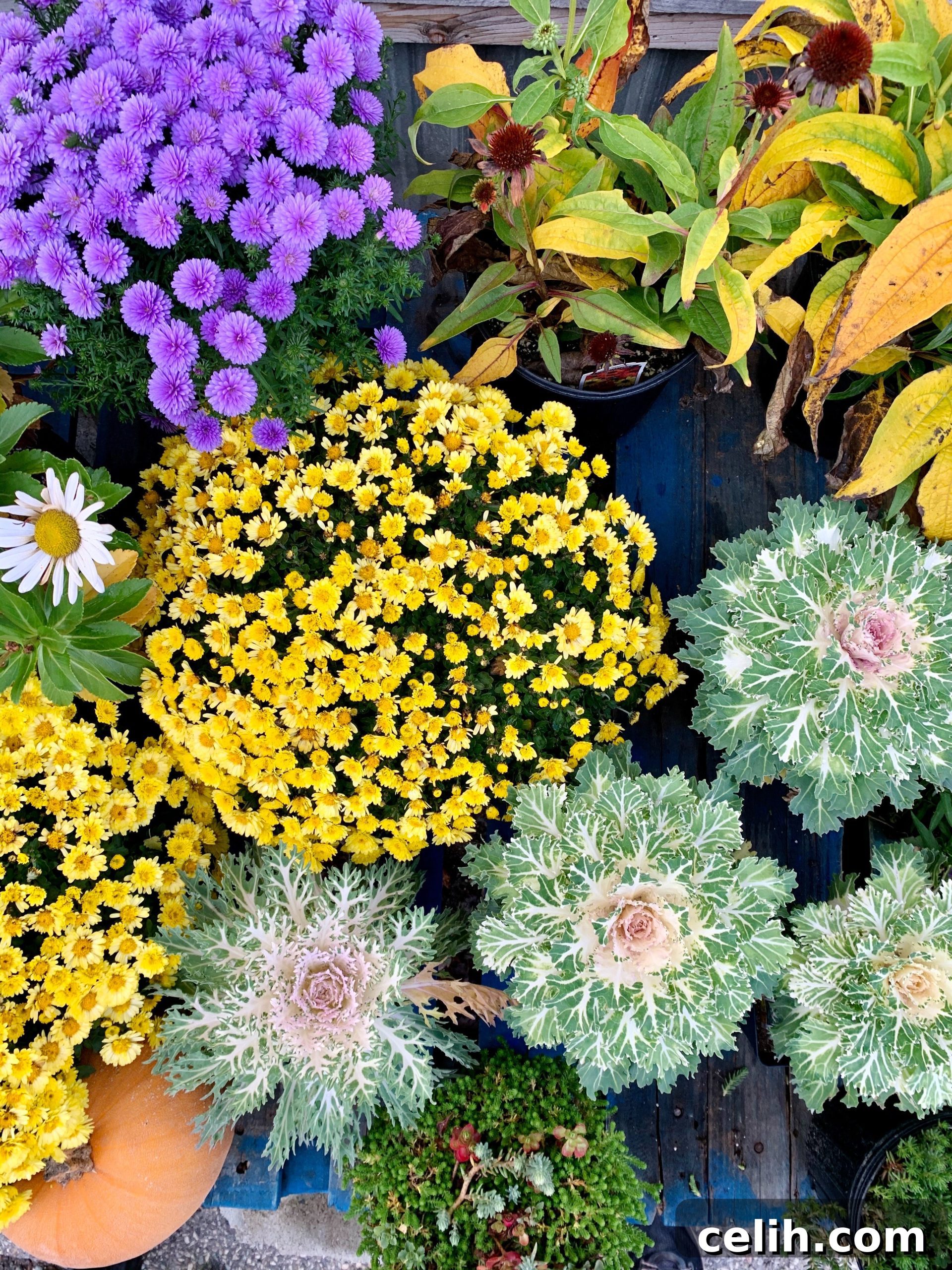 One of the garden trends 2023 is to create a sanctuary garden