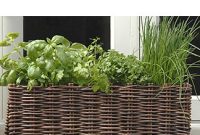 Window Box Garden Kit