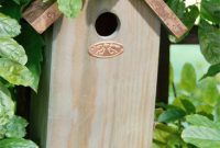Create a Cozy Home for Birds
