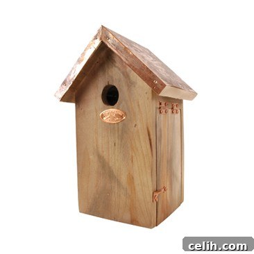 Detailed view of a Copper Roof Blue Tit Box, ideal for nesting small garden birds
