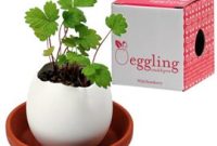 Eggling: Effortless Greenery
