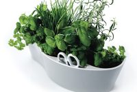 Fresh Herb Haven Pot