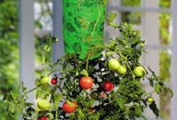 Inverted Hanging Tomato Garden
