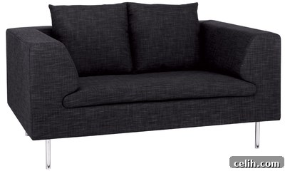 Contemporary Compact Laguna Sofa for Small Spaces