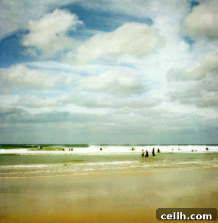 Angie Muldowney's 'Going In' artwork, blending modern and vintage photography