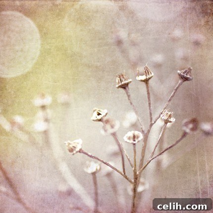 Angie Muldowney's 'Only Time Will Tell' print, a thought-provoking addition to any wall
