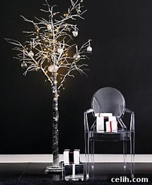 img 4564 1