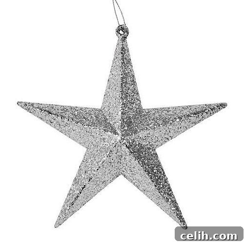Silver star Christmas decoration