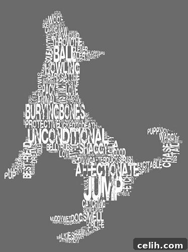 Betsy Benn's canine dog word art print with white text design