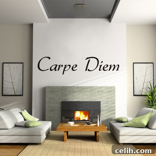Seize the Day vinyl wall decal sticker