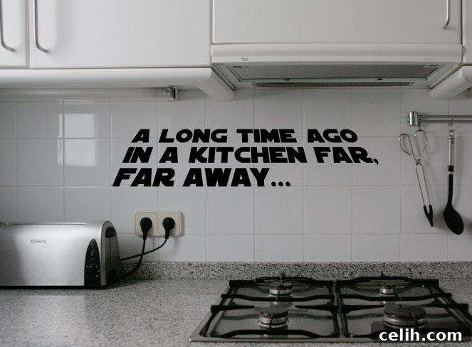 Contemporary wall stickers from Hommu