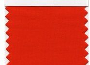 Tangerine Tango Pantone’s Bold Statement for 2012