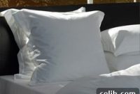 Discover The Worlds Finest Pillowcase An Indepth Review