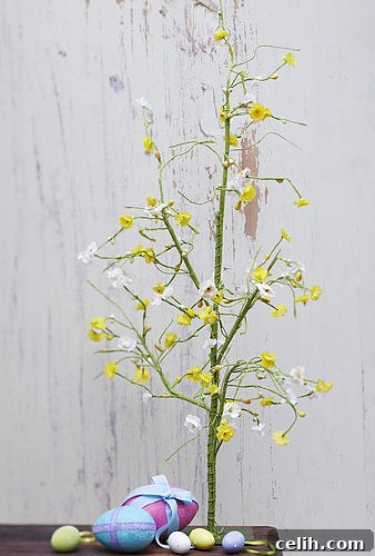 img 7649 1