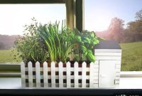 Prezzybox Urban Herb Allotment Kit