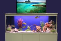 The Disappearing TV Aquarium