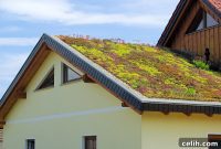Rooftop Greenery: Is Your Building’s Structure Ready for a Garden Oasis