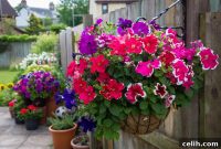 Gorgeous Greens for Your Hanging Planters
