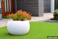 Garden Surfaces That Stay Green All Year in UK Weather