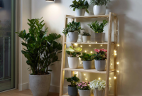 Best Indoor Plant Stands for Multiple Plants: Tiered & Space-Saving Options