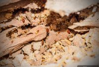 Termites: How They Quietly Destroy Homes and What to Do