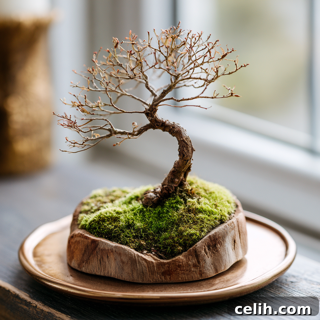 How Big Do Bonsai Trees Get? Size Guide for Beginners 4 shohin bonsai tree